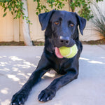 Tennis Eco Wool Dryer Balls - Individual