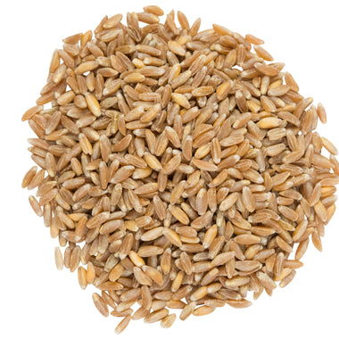 Organic Farro Wheat, Pearled