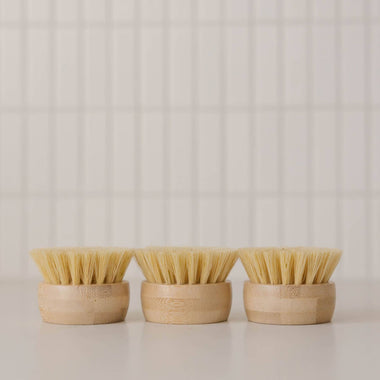 Forever Dish Brush Replacement Heads