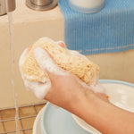 Dish Soap Refill Powder