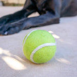 Tennis Eco Wool Dryer Balls - Individual
