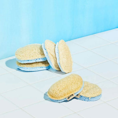 Blueland Sponge