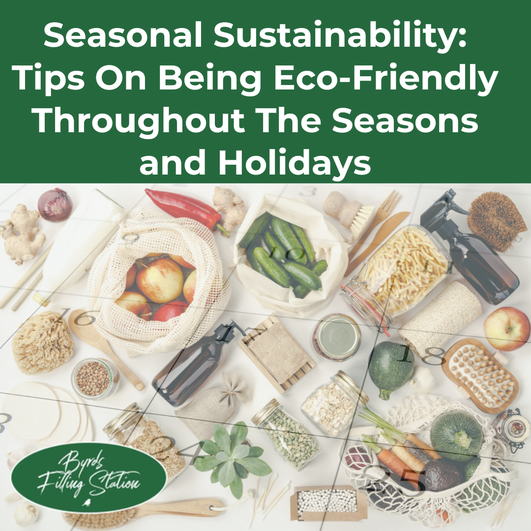 Seasonal Sustainability: Tips for being eco-friendly at the holidays