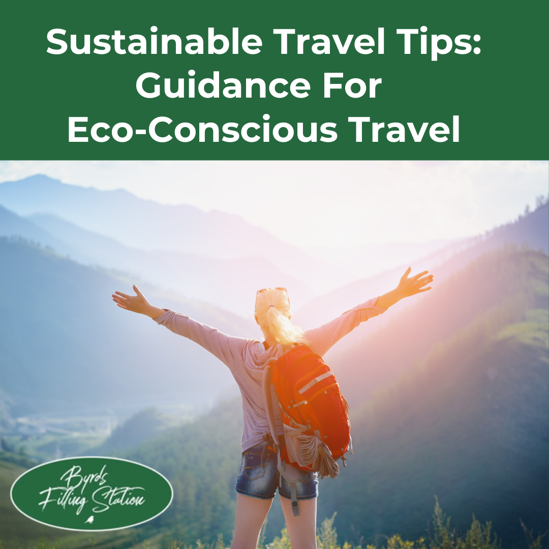 Sustainable Travel Tips: Guidance for eco-conscious travel