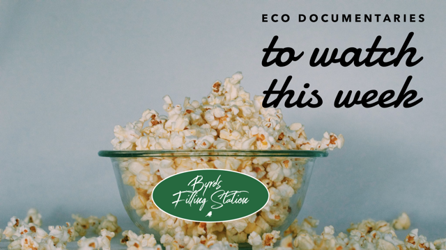 Our Favorite Eco Documentaries