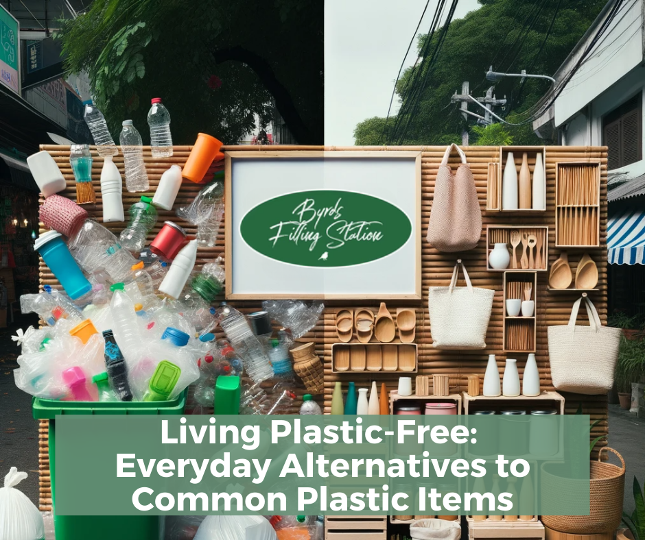 Living Plastic-Free:  Everyday Alternatives to Common Plastic Items