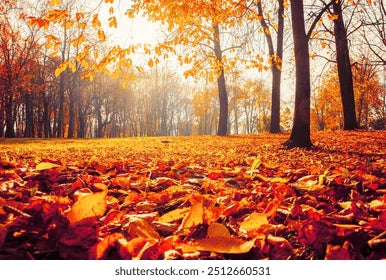 Fall Holidays