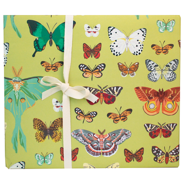 Butterflies Gift Wrap - Single Sheet
