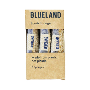 Blueland Sponge