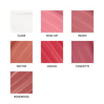 Antioxidant-Rich Hydrating Lip Gloss | Clean Beauty