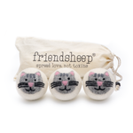 Grey Tabby Cats - Individual