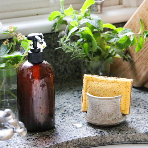 Biodegradable sponges with coconut scrubber