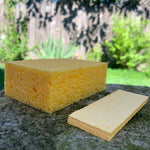 Compostable Sponges (Pack of 4)