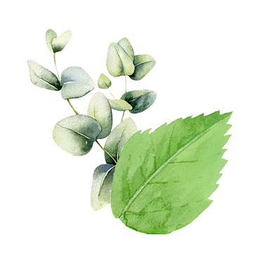 Bubble Bath Scent Pop | Mint & Eucalyptus - 16 oz. jar.