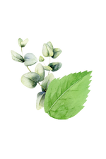 Bubble Bath Scent Pop | Mint & Eucalyptus - 16 oz. jar.