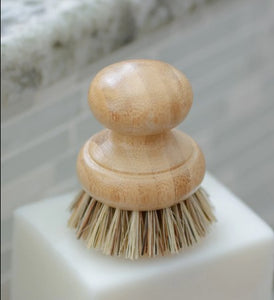 Casa Agave Brush