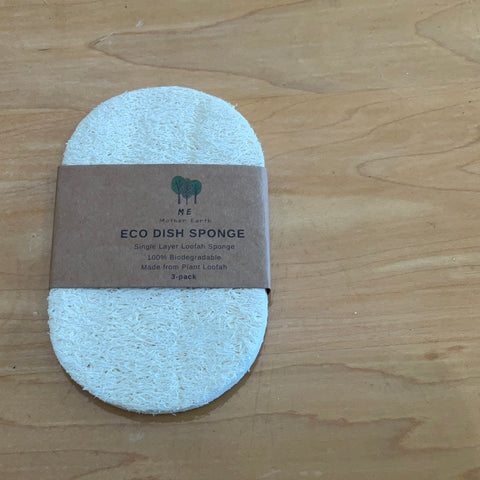 Eco Dish Sponge